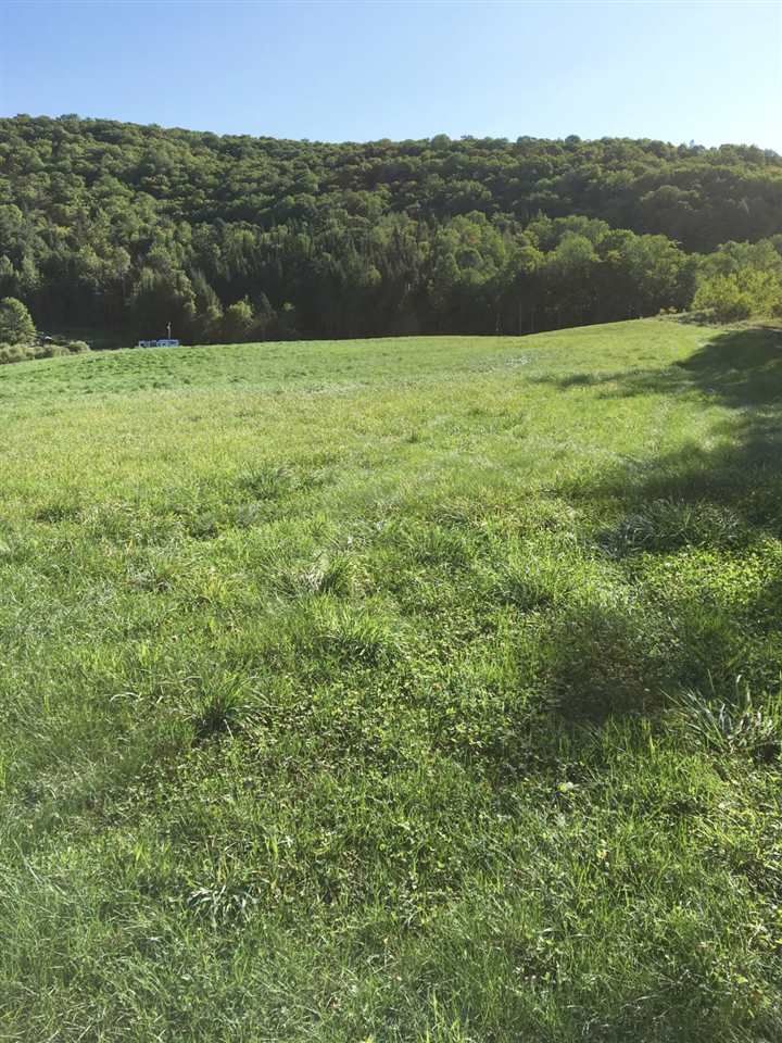 4131 State Rte 16, Glover, VT 05839